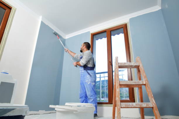 Best Black Mold Removal  in Lakewood, CO